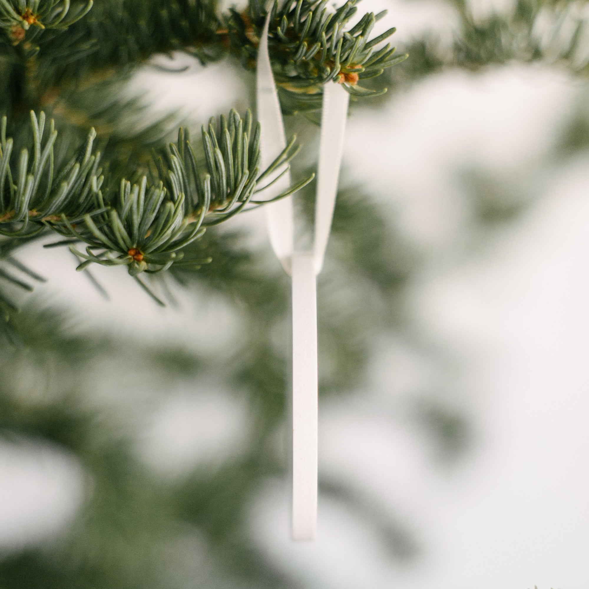 Bird Nerd Christmas Ornament